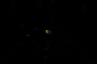 藏品(微小螺)的圖片